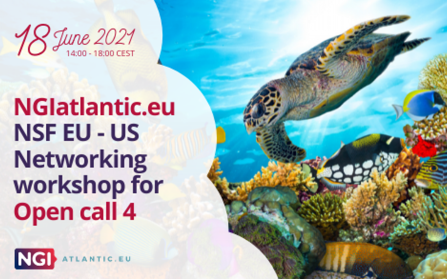 US Networking workshop for Open call 4