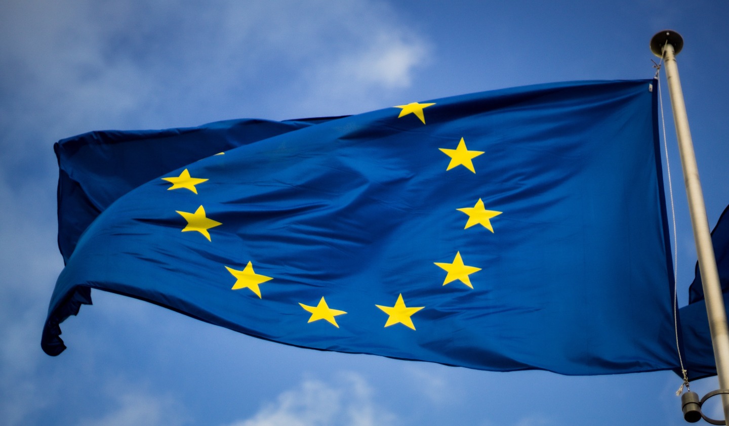 Understanding the European Identity Wallet Architecture: a reference framework