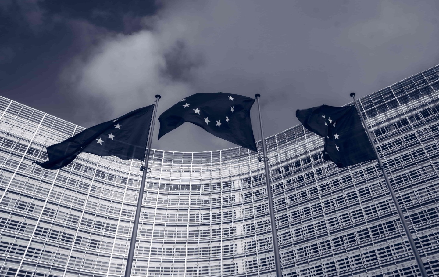 EBSI and the Digital Rights Declaration