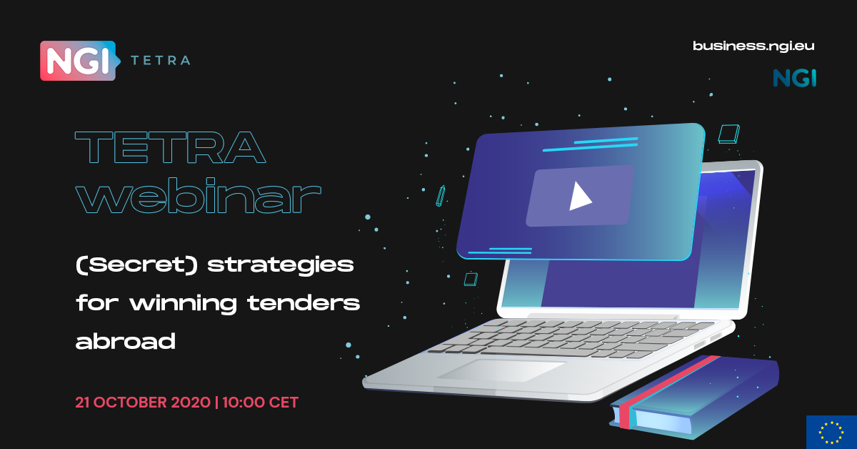 Webinar: (Secret) strategies for SMEs to win public tenders abroad